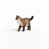 Schleich Ragdoll Cat