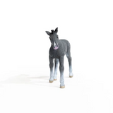 Schleich Trakehner Foal 2022
