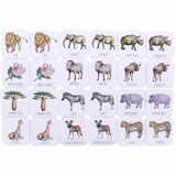 Africa Memory Card Game