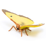 Papo Clouded Yellow Butterfly side