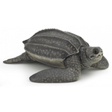 Leatherback Turtle