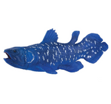 Mojo Coelacanth