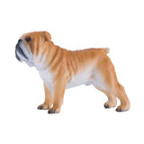 Mojo English Bulldog