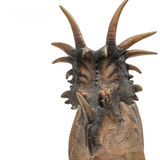 PNSO Anthony the Styracosaurus head