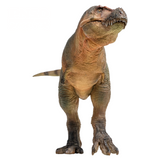 PNSO Lu Xiong the Zhuchengtyrannus from the front PNSO Lu Xiong the Zhuchengtyrannus from the front