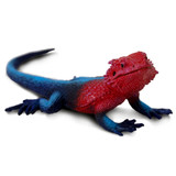 Safari Ltd Mwanza Flat-Headed Rock Agama IC