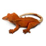 Safari Ltd Crested Gecko