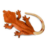 Safari Ltd Crested Gecko from above