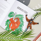 A-Z of Endangered Animals Jennifer Cossins Orangutan