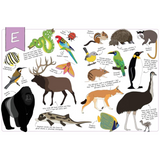 Ultimate Animal Alphabet Book E