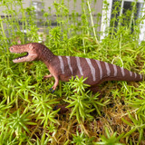 Safari Ltd Dino Dana Nanotyrannus in grass Safari Ltd Dino Dana Nanotyrannus in grass