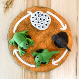 Tara Treasures Felt Lifecycle of a Frog