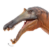 PNSO Chongzuo the Sinopliosaurus articulated jaw