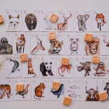 Animal Alphabet Flash Cards Animal Alphabet Flash Cards