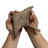 NOM Handcrafted Manta Ray size in hands