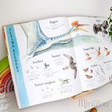 The Magic of Flight book inside MiniZoo