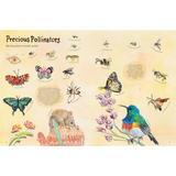 Wonders Under the Sun