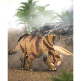 CollectA Triceratops Horridus Confronting