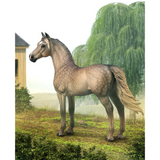 CollectA Morgan Stallion Silver Grulla