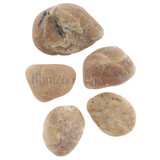 Pebbles Amber 5pc MiniZoo Pebbles Amber 5pc MiniZoo