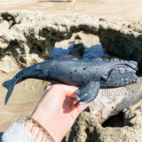 CollectA Right Whale toy in hand at beach MiniZoo
