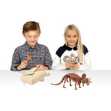 Dr Steve Hunters Triceratops Excavation Kit