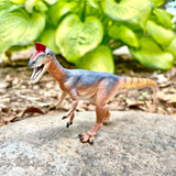 Safari Ltd Cryolophosaurus