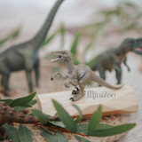 CollectA Velociraptor