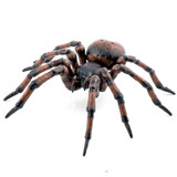 Papo Common Spider figurine Papo Common Spider figurine