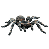 Bullyland White Knee Tarantula