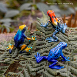 Bullyland Poison Dart Frog Amazonica