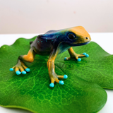 Bullyland Poison Dart Frog Tumucumaque MiniZoo