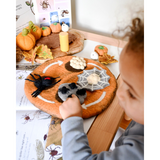 Tara Treasures Felt Lifecycle of Redback Spider