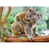 Ravensburger Koala Love Puzzle 200pc 