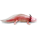 Safari Ltd Axolotl IC
