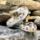 Safari Ltd Western Diamondback Rattlesnake IC