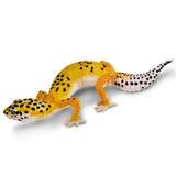 Safari Ltd Leopard Gecko IC