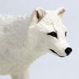 Safari Ltd Arctic Fox 2023