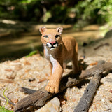 Safari Ltd Mountain Lion 2023 Safari Ltd Mountain Lion 2023