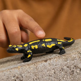Schleich realistic Fire Salamander toy