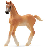 Schleich Arabian Foal 13984 Schleich 2024