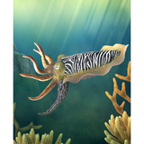 CollectA Common Cuttlefish