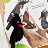 Palm Cockatoo Felt Finger Puppet with Busy Beaks book by Sarah Allen
