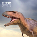 PNSO Mateo the Tyrannotian closeup