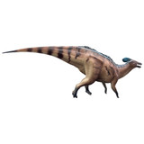 Haolonggood Tlatolophus Galorum Red Huang Fu Duan Haolonggood Tlatolophus Galorum Red Huang Fu Duan