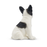 Toymany French Bulldog Puppy Sitting