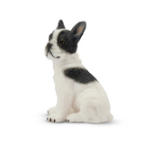 Toymany French Bulldog Puppy Sitting