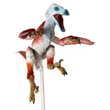 Velociraptor Osmolskae Alpha Exclusive
