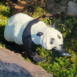 Toymany Giant Panda Female
