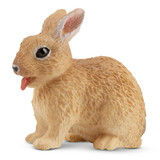 Toymany Netherland Dwarf Rabbit Toymany Netherland Dwarf Rabbit